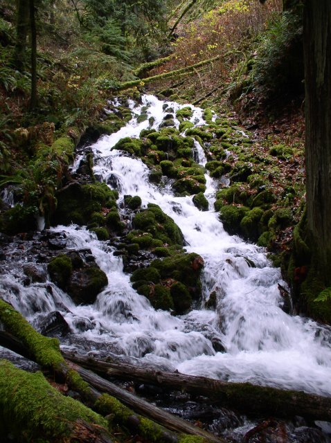 Waukeena Mult Falls 11.26.05 024 